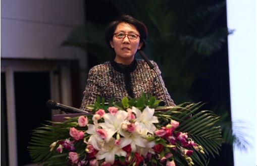 2015中国网络安全协同创新高峰论坛在京召开